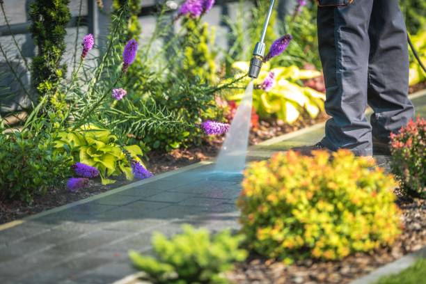  , MN Pressure Washing Pros