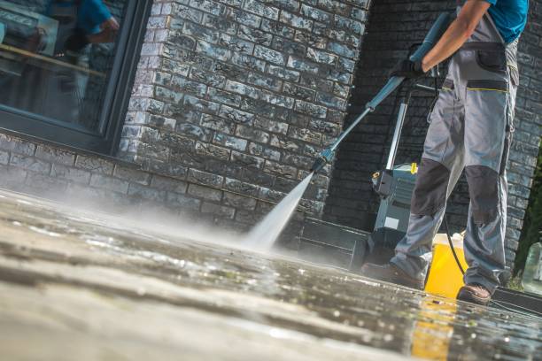 Best Building Exterior Washing  in , MN