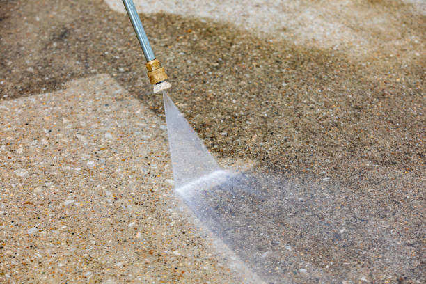 Best Driveway Pressure Washing  in , MN